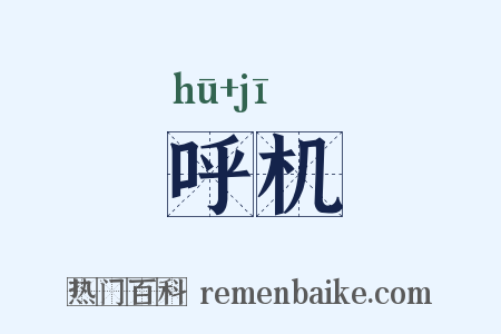 呼机是什么意思的图片